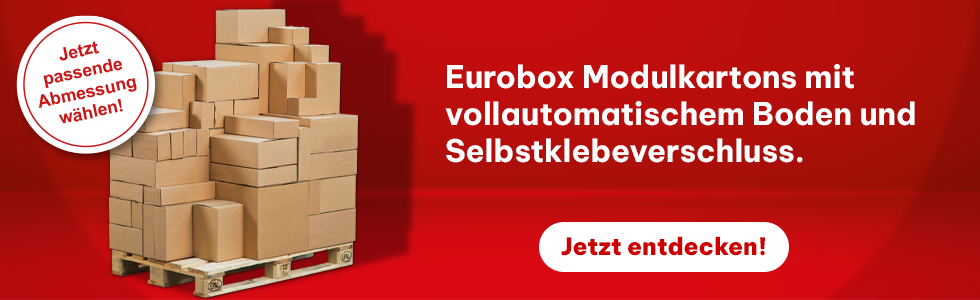 HILDE24 | Eurobox Modulkartons