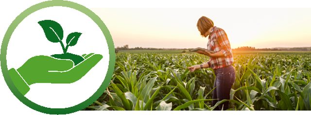 laio&reg; GREEN Materialeinsatz