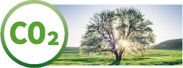 laio&reg; GREEN Reduzierung