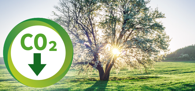 laio&reg; GREEN Reduzierung
